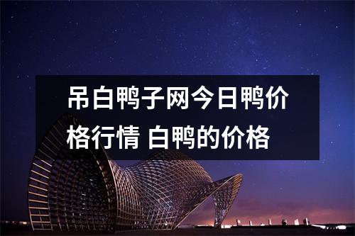 吊白鸭子网今日鸭价格行情 白鸭的价格 吊白鸭子网今日鸭价格行情 白鸭的价格