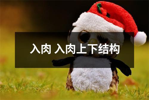 入肉 入肉上下结构