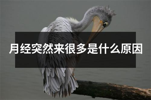 月经突然来很多是什么原因