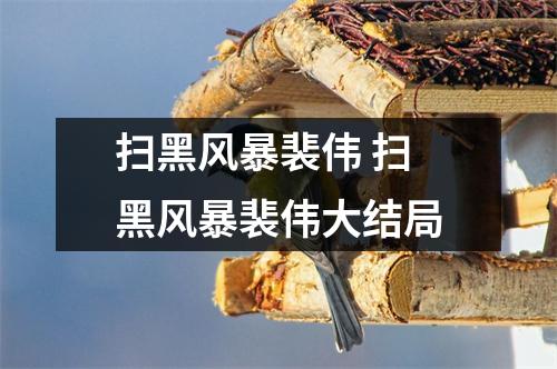 扫黑风暴裴伟 扫黑风暴裴伟大结局