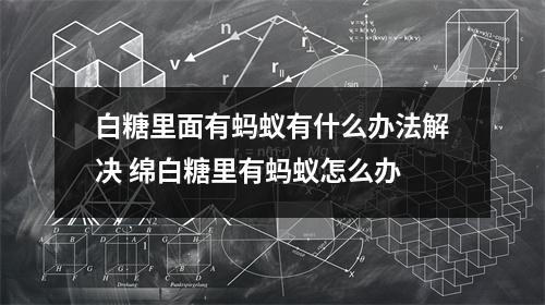 白糖里面有蚂蚁有什么办法解决 绵白糖里有蚂蚁怎么办
