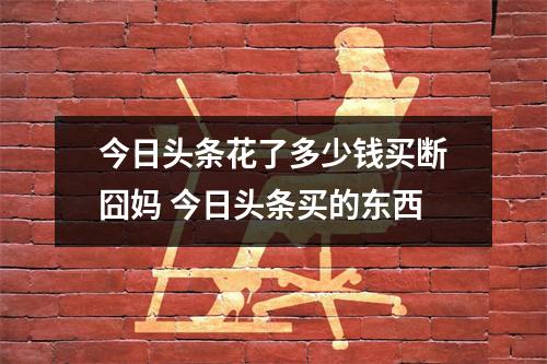 今日头条花了多少钱买断囧妈 今日头条买的东西