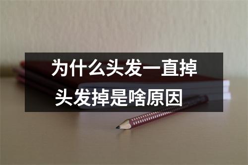 为什么头发一直掉 头发掉是啥原因