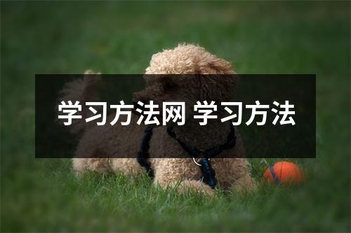 学习方法网 学习方法