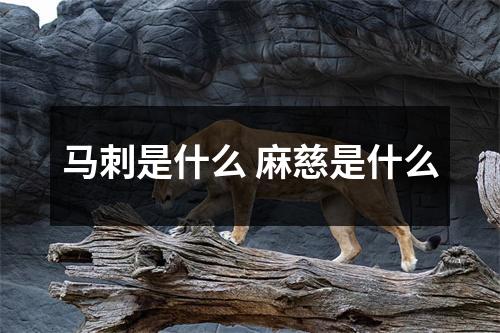 马刺是什么 麻慈是什么 马刺是什么 麻慈是什么