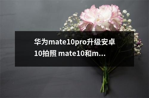 华为mate10pro升级安卓10拍照 mate10和mate10pro拍照对比 华为mate10pro升级安卓10拍照 mate10和mate10pro拍照对比