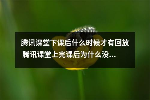腾讯课堂下课后什么时候才有回放 腾讯课堂上完课后为什么没有回放