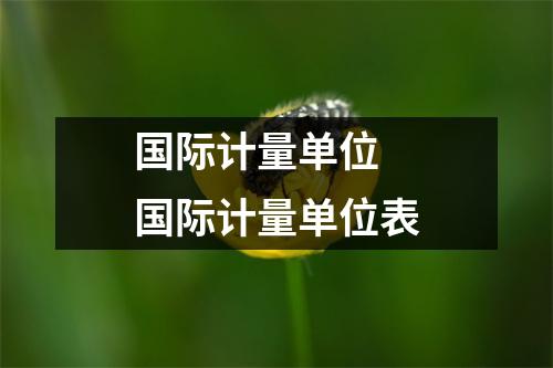 国际计量单位 国际计量单位表