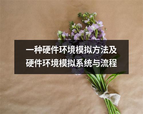 一种硬件环境模拟方法及硬件环境模拟系统与流程