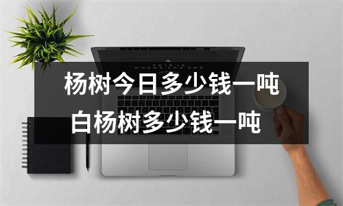 杨树今日多少钱一吨 白杨树多少钱一吨