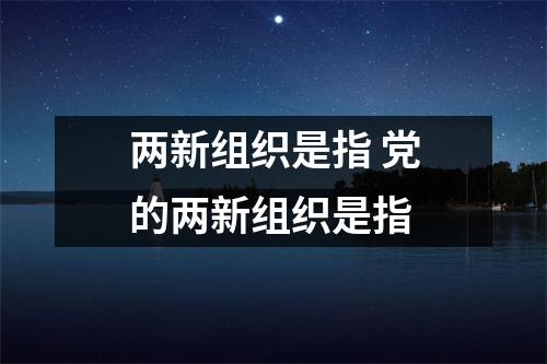 两新组织是指 党的两新组织是指 两新组织是指 党的两新组织是指