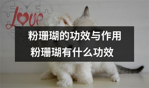 粉珊瑚的功效与作用 粉珊瑚有什么功效