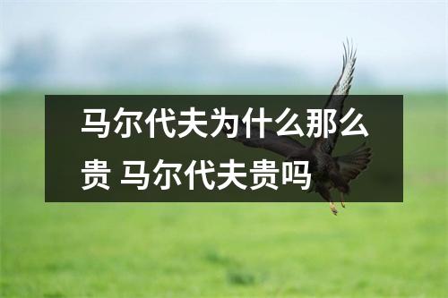 马尔代夫为什么那么贵 马尔代夫贵吗