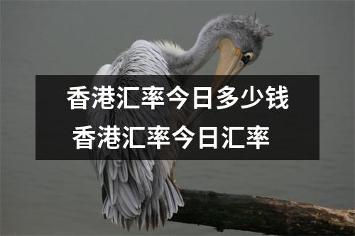香港汇率今日多少钱 香港汇率今日汇率