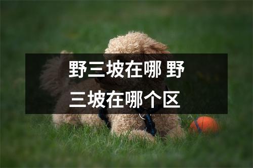 野三坡在哪 野三坡在哪个区