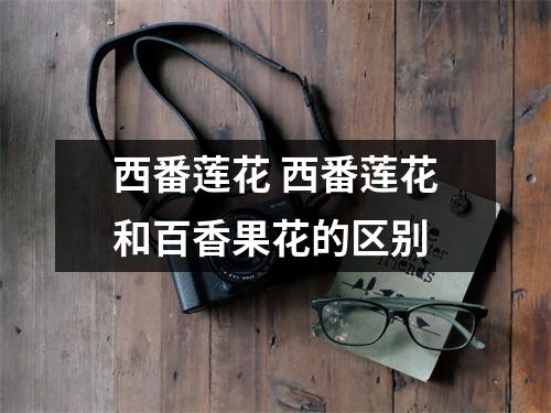 西番莲花 西番莲花和百香果花的区别 西番莲花 西番莲花和百香果花的区别