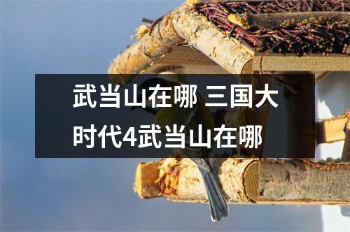 武当山在哪 三国大时代4武当山在哪