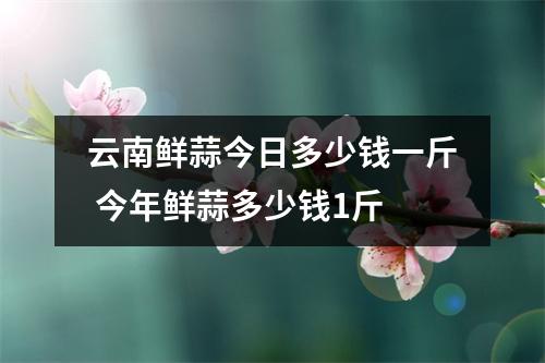云南鲜蒜今日多少钱一斤 今年鲜蒜多少钱1斤