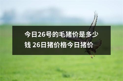 今日26号的毛猪价是多少钱 26日猪价格今日猪价 今日26号的毛猪价是多少钱 26日猪价格今日猪价