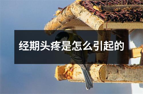 经期头疼是怎么引起的