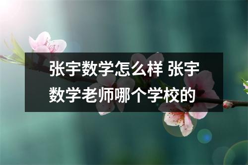 张宇数学怎么样 张宇数学老师哪个学校的 张宇数学怎么样 张宇数学老师哪个学校的