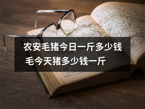 农安毛猪今日一斤多少钱 毛今天猪多少钱一斤