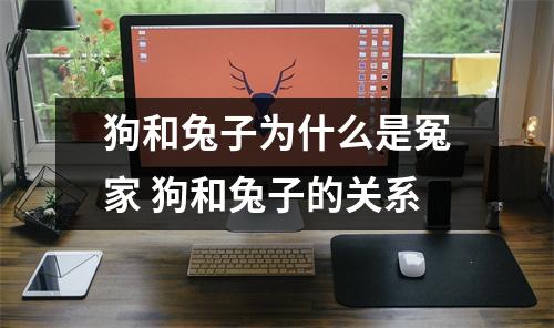 狗和兔子为什么是冤家 狗和兔子的关系