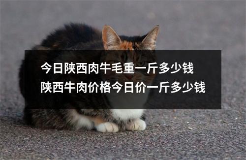 今日陕西肉牛毛重一斤多少钱 陕西牛肉价格今日价一斤多少钱