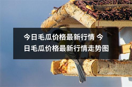 今日毛瓜价格最新行情 今日毛瓜价格最新行情走势图