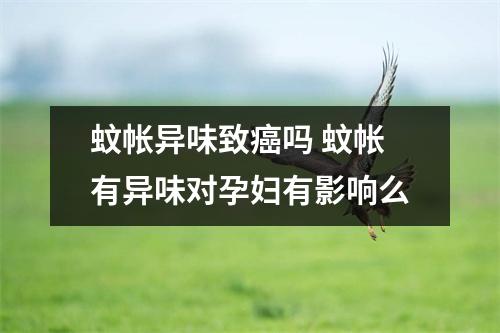 蚊帐异味致癌吗 蚊帐有异味对孕妇有影响么 蚊帐异味致癌吗 蚊帐有异味对孕妇有影响么