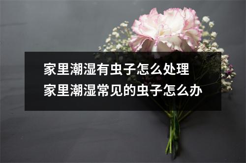 家里潮湿有虫子怎么处理 家里潮湿常见的虫子怎么办