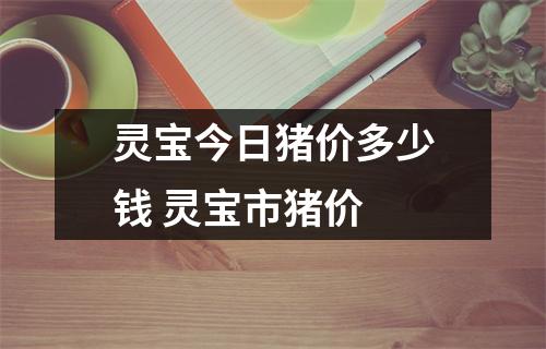 灵宝今日猪价多少钱 灵宝市猪价