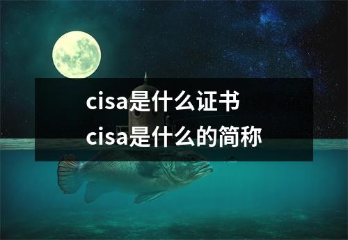 cisa是什么证书 cisa是什么的简称