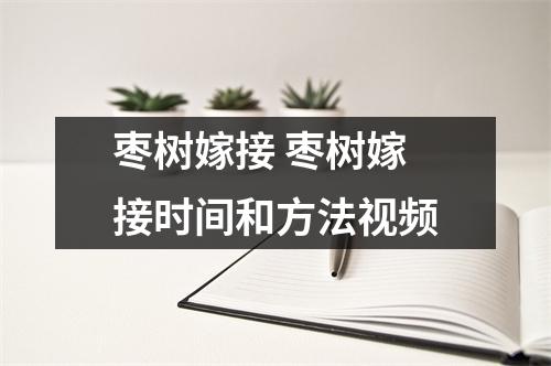 枣树嫁接 枣树嫁接时间和方法视频 枣树嫁接 枣树嫁接时间和方法视频