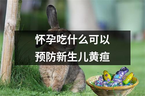 怀孕吃什么可以预防新生儿黄疸