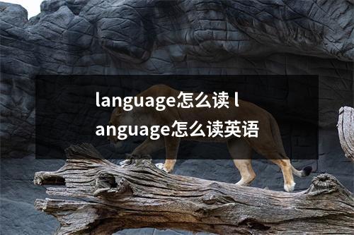 language怎么读 language怎么读英语