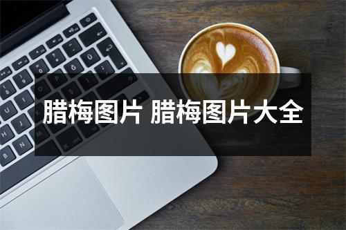腊梅图片 腊梅图片大全