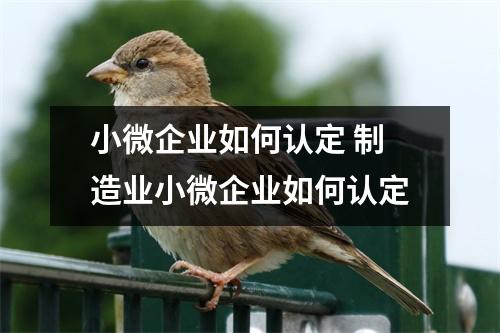 小微企业如何认定 制造业小微企业如何认定
