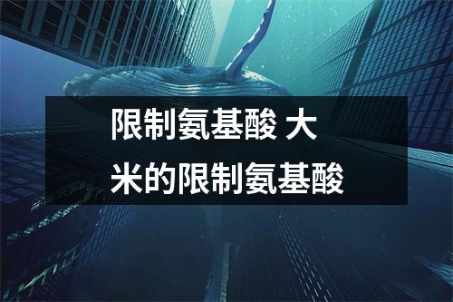 限制氨基酸 大米的限制氨基酸