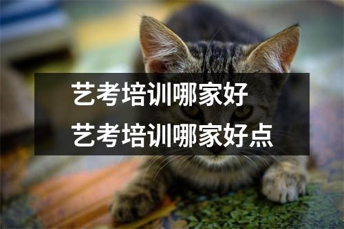 艺考培训哪家好 艺考培训哪家好点 艺考培训哪家好 艺考培训哪家好点