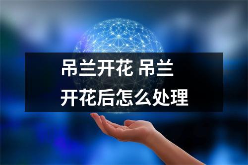 吊兰开花 吊兰开花后怎么处理