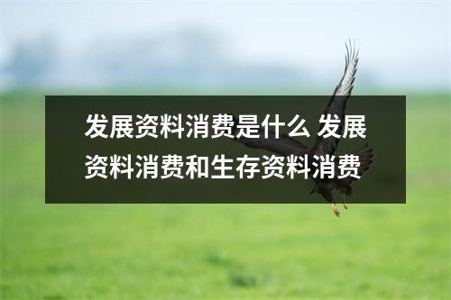 发展资料消费是什么 发展资料消费和生存资料消费