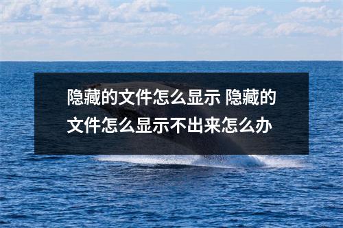 隐藏的文件怎么显示 隐藏的文件怎么显示不出来怎么办