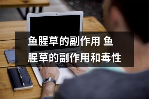 鱼腥草的副作用 鱼腥草的副作用和毒性