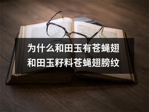 为什么和田玉有苍蝇翅 和田玉籽料苍蝇翅膀纹