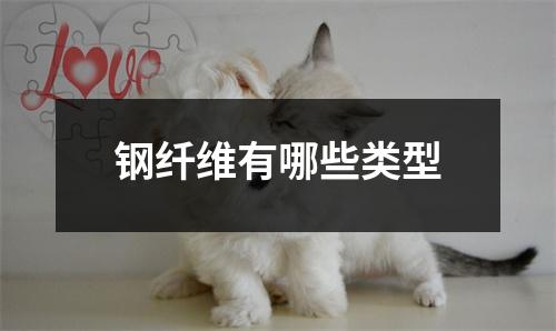 钢纤维有哪些类型