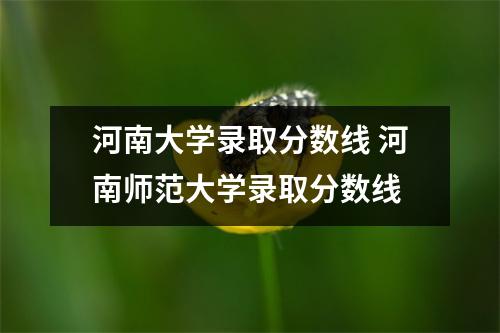 河南大学录取分数线 河南师范大学录取分数线 河南大学录取分数线 河南师范大学录取分数线