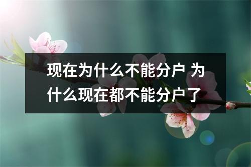 现在为什么不能分户 为什么现在都不能分户了