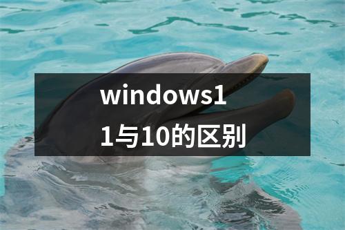 windows11与10的区别