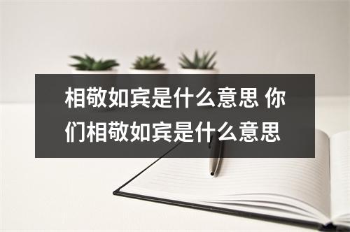 相敬如宾是什么意思 你们相敬如宾是什么意思